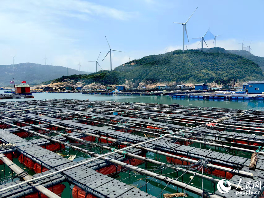 海上鮑魚(yú)養(yǎng)殖場(chǎng)。人民網(wǎng) 葉青卿攝