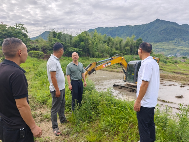 杉洋鎮(zhèn)寶橋村包村領(lǐng)導(dǎo)阮永斌和鄉(xiāng)賢林光耀查看“稻藥輪作”種植情況。張家豪攝