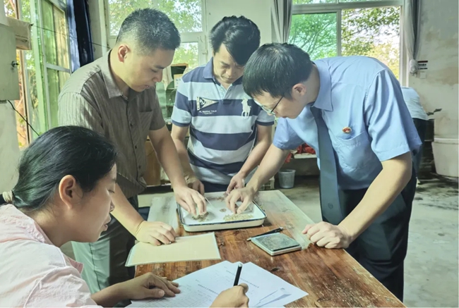 水產(chǎn)養(yǎng)殖領(lǐng)域?qū)＜覍?duì)海蚌苗進(jìn)行檢測(cè)驗(yàn)收，確認(rèn)其符合放流標(biāo)準(zhǔn)