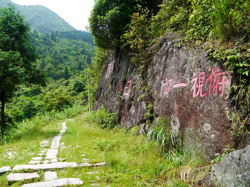 白鶴嶺古官道上的摩崖石刻群。寧德市蕉城區(qū)文體旅局供圖