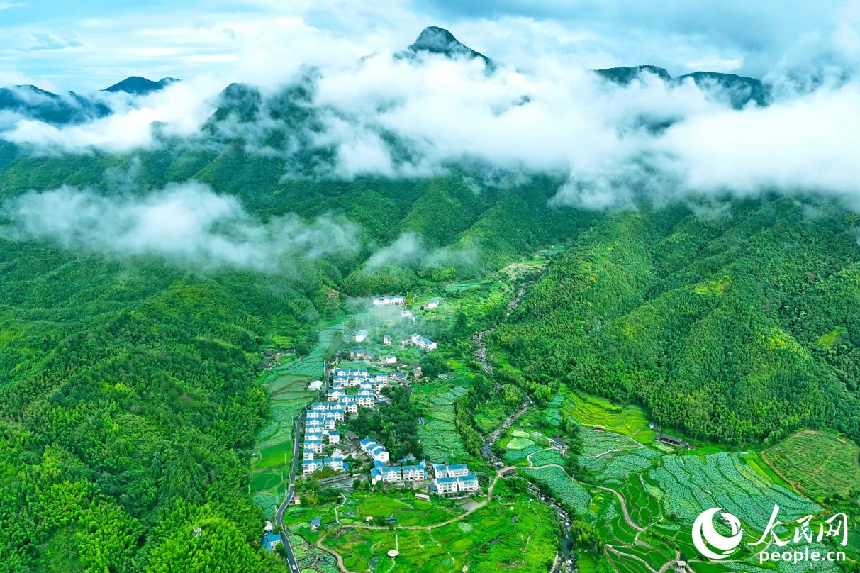 “綠色家底”給三明帶來了更多發(fā)展紅利。人民網(wǎng) 李昌乾攝