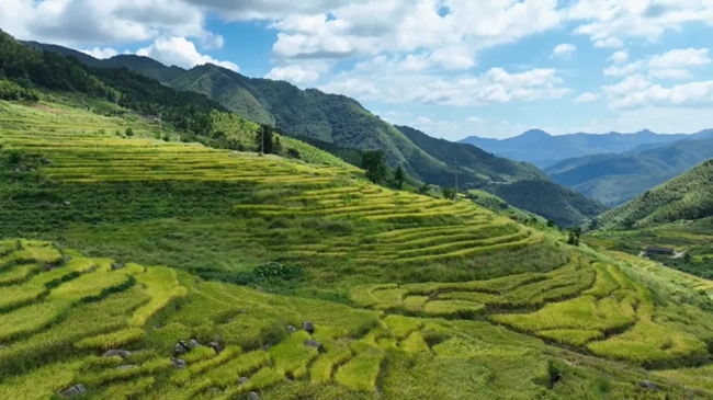 聯(lián)合梯田。黃功興攝