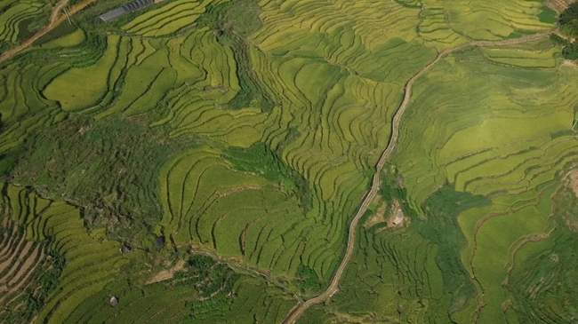 聯(lián)合梯田。黃功興攝