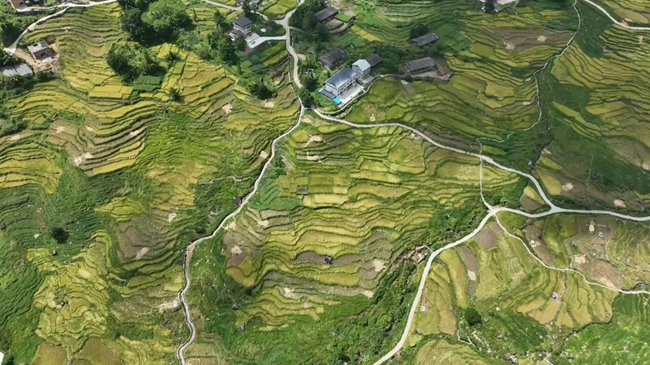 層層疊疊的梯田。黃功興攝