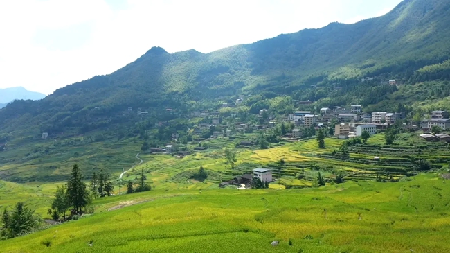 農(nóng)舍點(diǎn)綴田間。黃功興攝