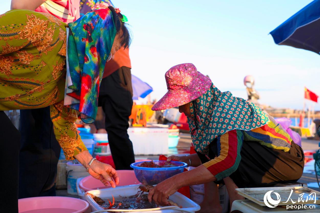 漁港邊惠女們正在出售海貨。人民網(wǎng) 李唯一攝