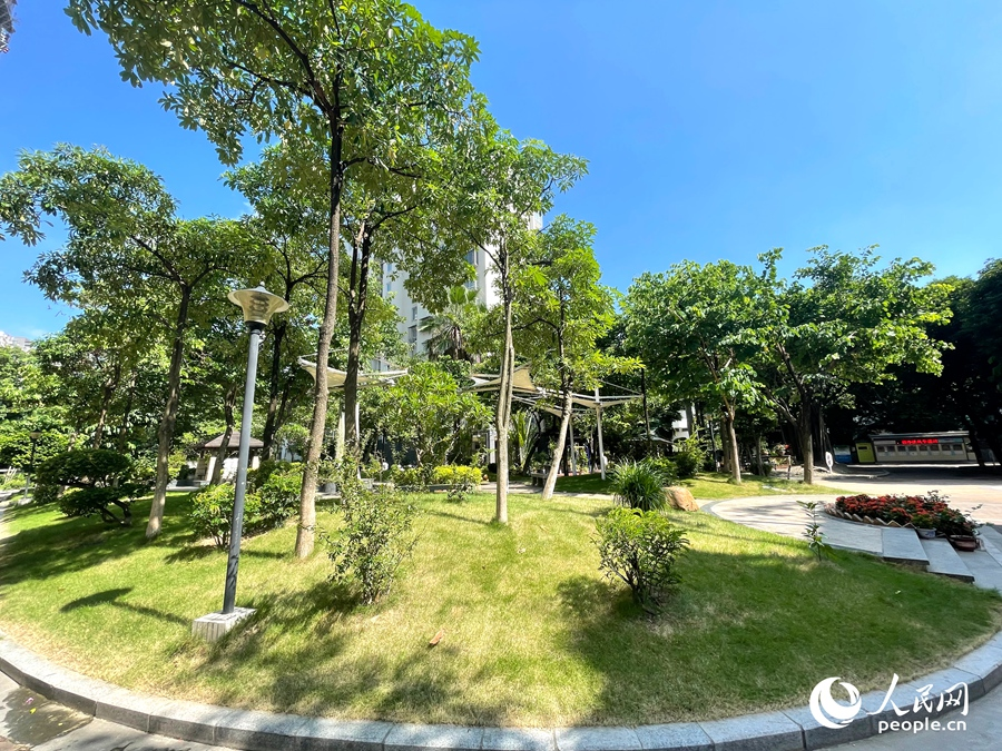 廈門(mén)海韻華庭小區(qū)。人民網(wǎng)記者 陳藍(lán)燕攝