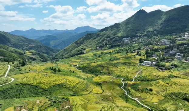 尤溪聯(lián)合梯田進(jìn)入最佳觀賞期，快來(lái)打卡！