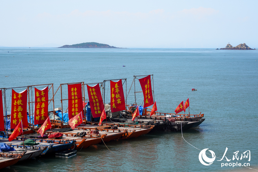 福州市2025年中國農(nóng)民豐收節(jié)福清分會場在沙埔鎮(zhèn)牛頭尾碼頭開幕。實習生 鄭舒塵攝