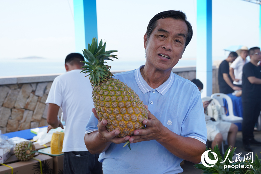 臺農(nóng)王森諒展示在福清臺灣農(nóng)民創(chuàng)業(yè)園種出的臺灣鳳梨。實習生 鄭舒塵攝