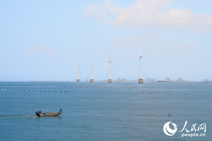 近年來，福清大力推動文旅農(nóng)融合發(fā)展，打造現(xiàn)代農(nóng)業(yè)發(fā)展格局。實習生 鄭舒塵攝