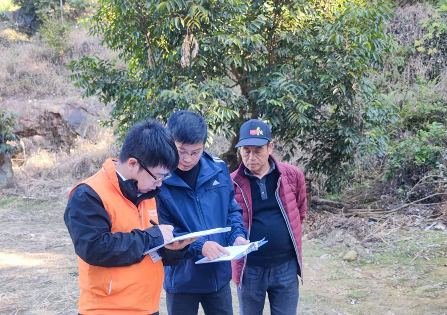 平安產(chǎn)險(xiǎn)福建分公司深入調(diào)研走訪福州橄欖種植區(qū)