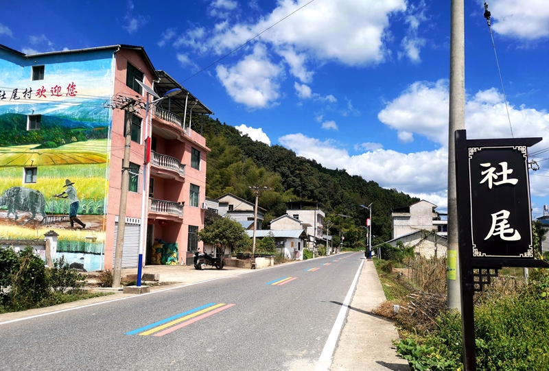 南平市建陽區(qū)將口鎮(zhèn)東田社尾村村口路段。游女士供圖