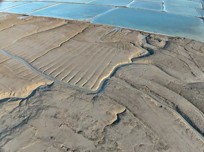 除治互花米草后的灘涂。蕉城區(qū)融媒體中心供圖