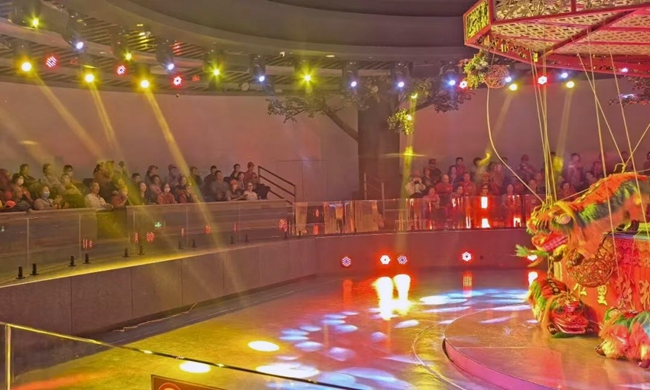 觀看霍童線獅表演