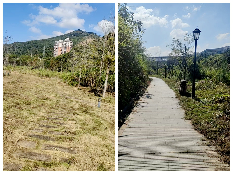 雜草修剪后，延平站站后公園變得干凈了。南平市土發(fā)集團(tuán)公司供圖