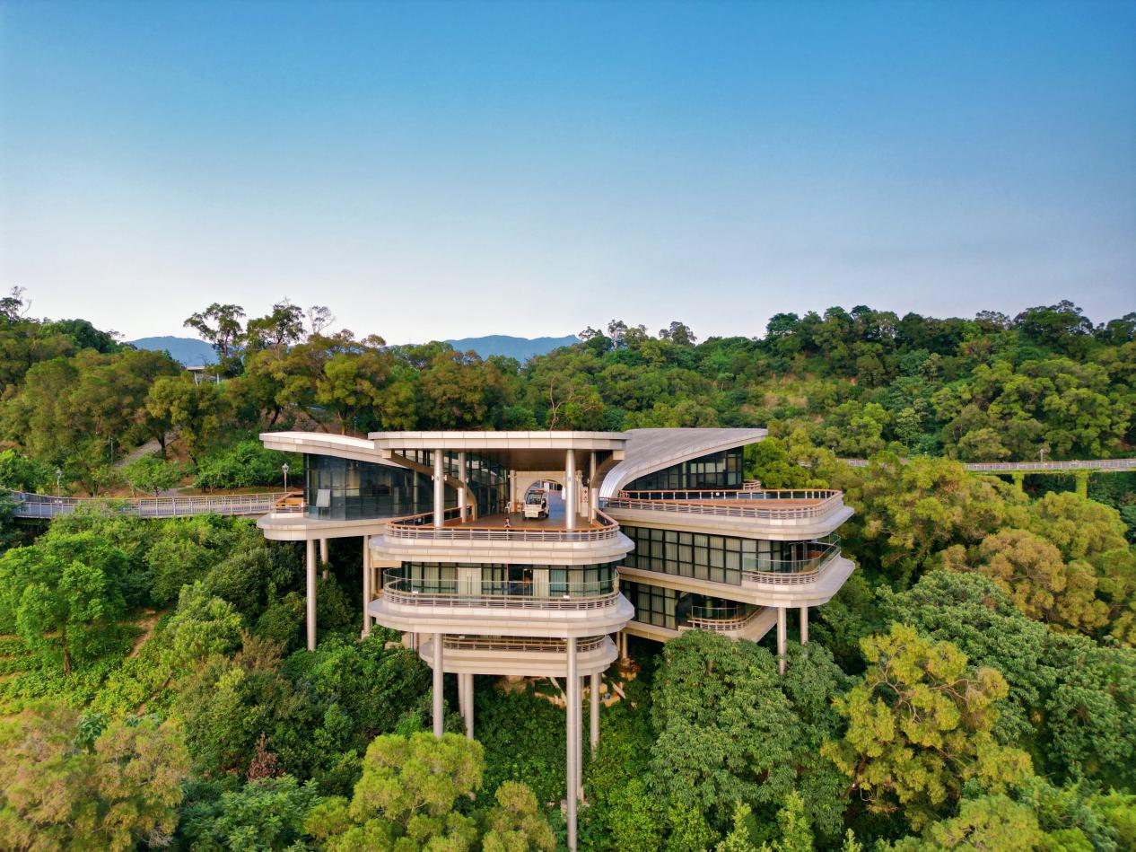 金雞山公園攬城棧道旁，茉莉花廳清新書苑掩映在翠綠之中。清新書苑供圖