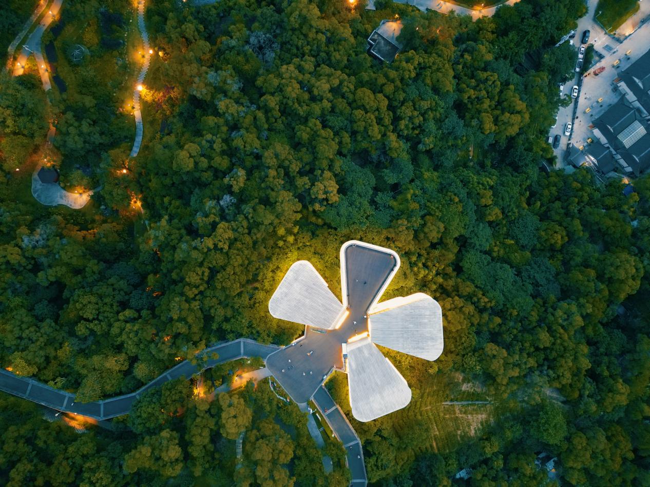 俯瞰茉莉花廳清新書苑，宛如一朵“茉莉花”綻放在公園的森林中。清新書苑供圖