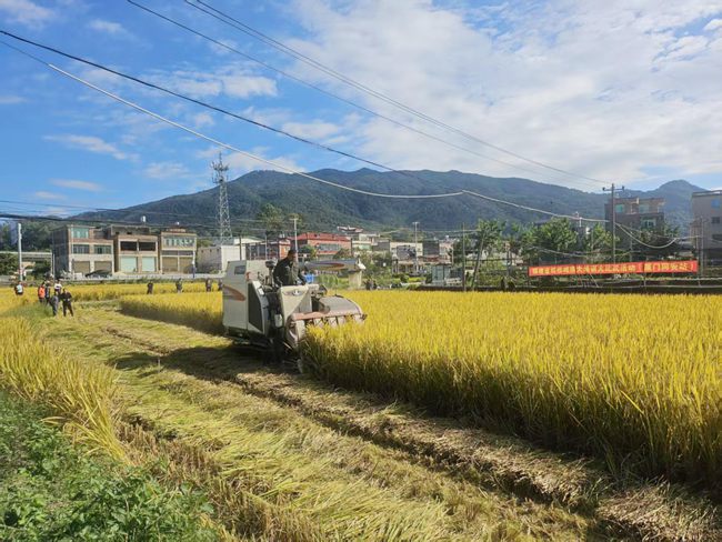 活動(dòng)現(xiàn)場(chǎng)