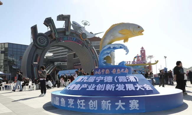 活動(dòng)現(xiàn)場