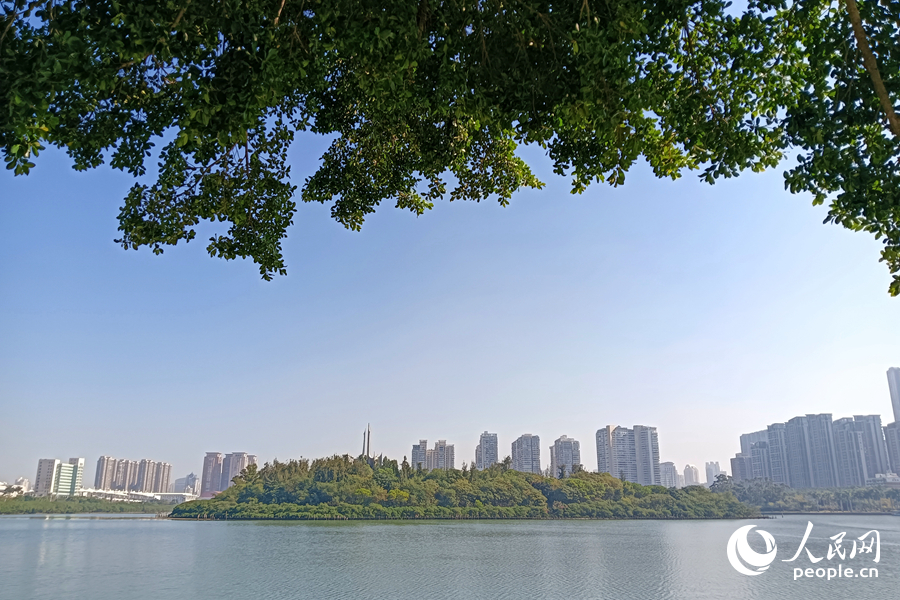 水清岸綠的廈門筼筜湖。人民網(wǎng)記者 陳博攝