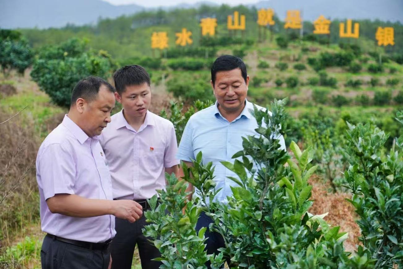農(nóng)行長汀支行客戶經(jīng)理進(jìn)山實(shí)地了解林農(nóng)經(jīng)營情況