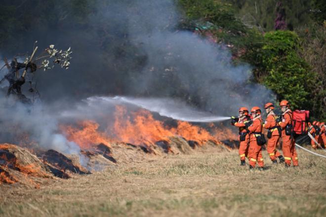 活動現(xiàn)場。人民網(wǎng)記者 張萌攝