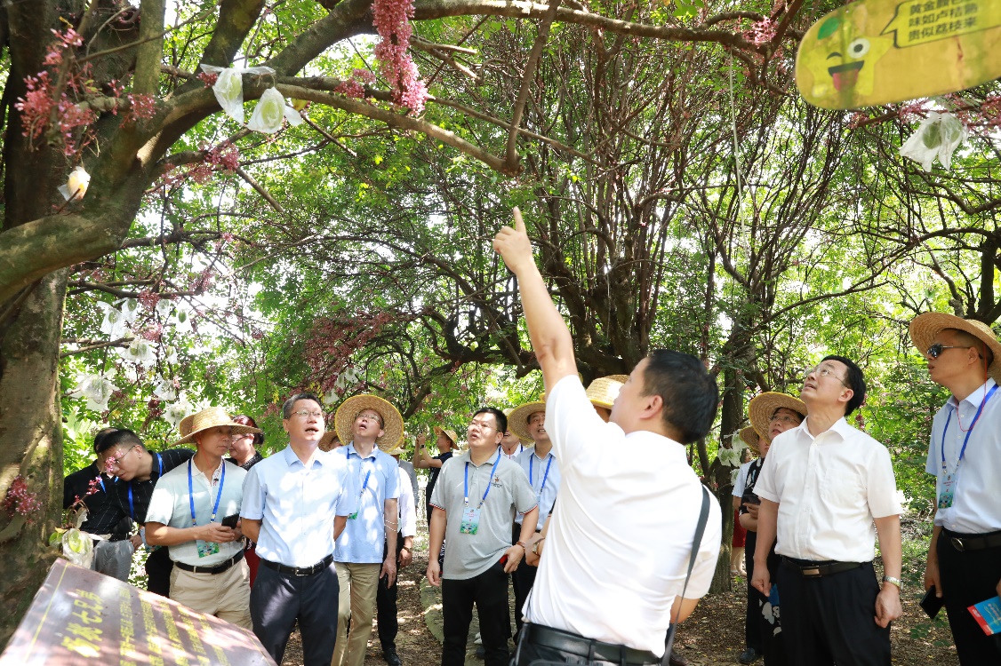 “僑領(lǐng)故鄉(xiāng)行”邀請有影響力的閩籍海外僑領(lǐng)回鄉(xiāng)參訪。福建省政協(xié)供圖