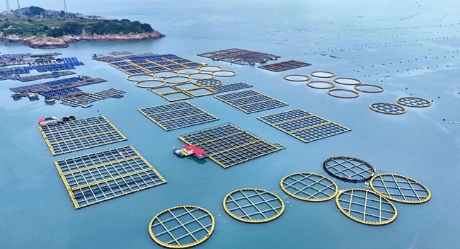 養(yǎng)殖設(shè)備采用環(huán)保材質(zhì)。連江縣融媒體中心供圖