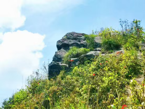 順昌縣內(nèi)形似猴的山石。順昌縣融媒體中心供圖