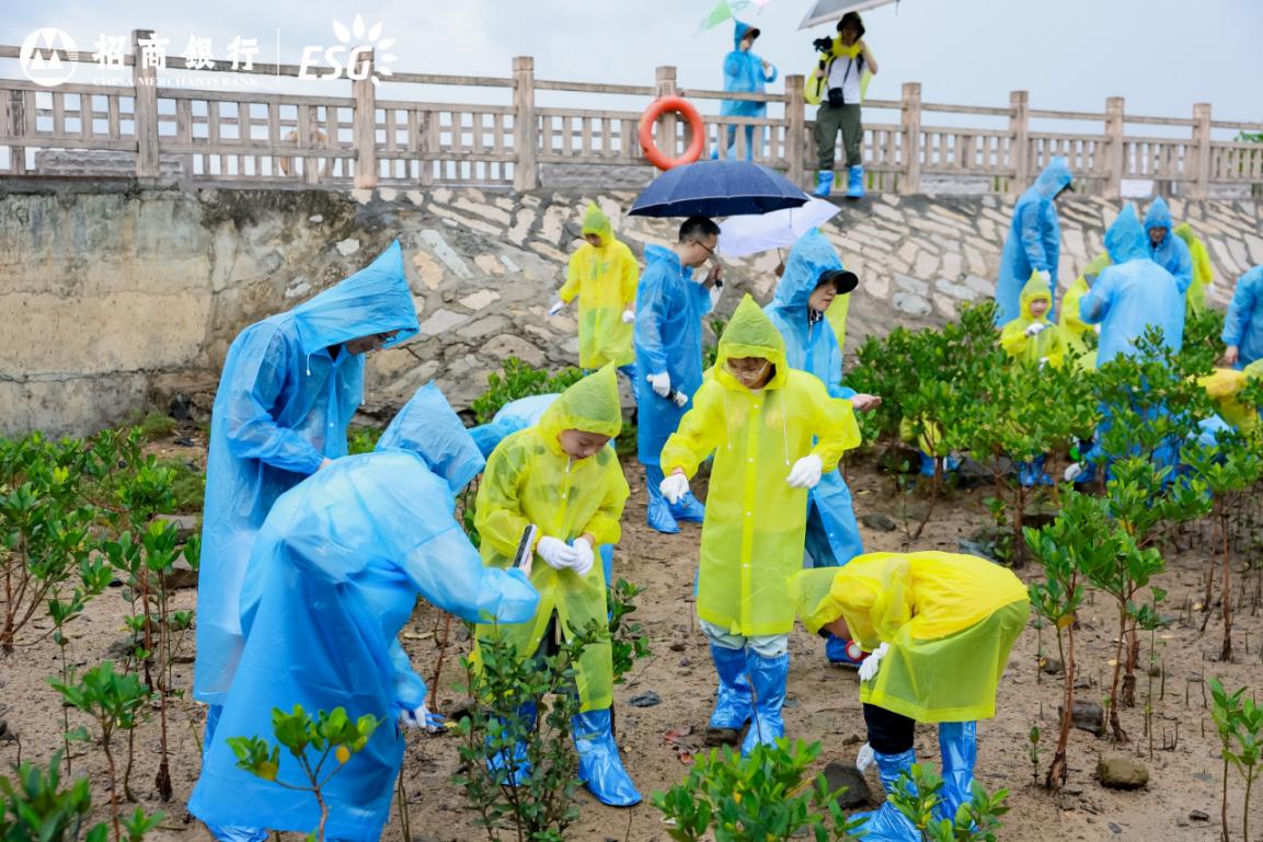 紅樹林生物觀察暨生態(tài)科普實(shí)踐活動