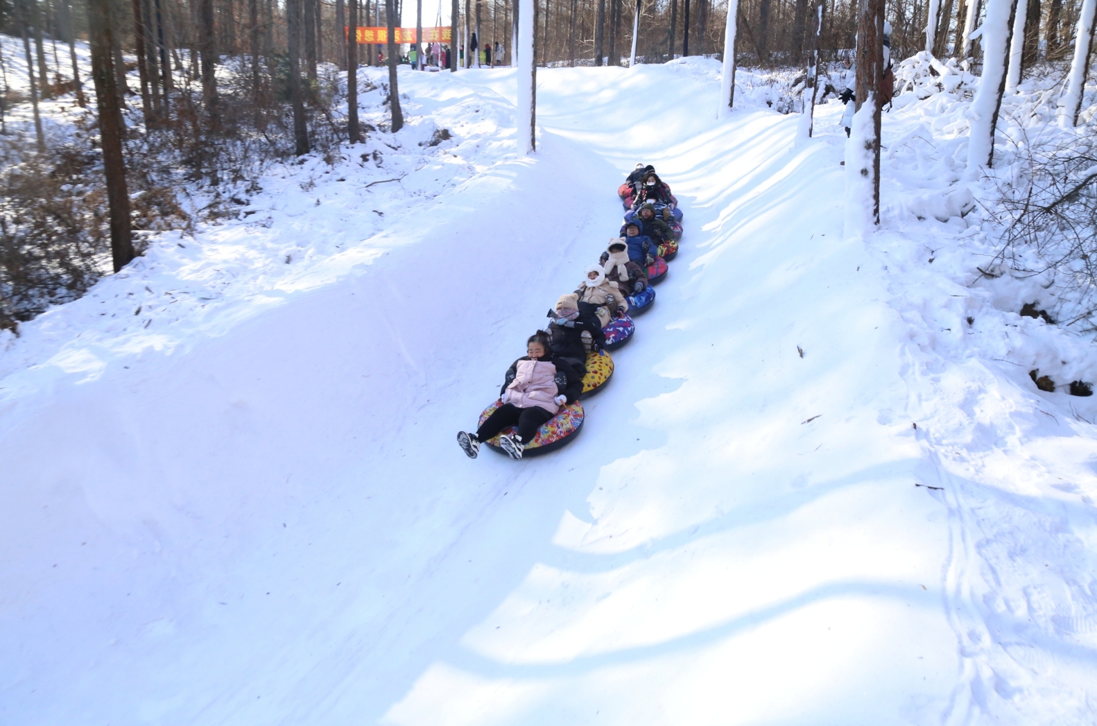 撫順2000米長(zhǎng)的“雪地貪吃蛇”林間雪圈道上，尖叫聲不斷。