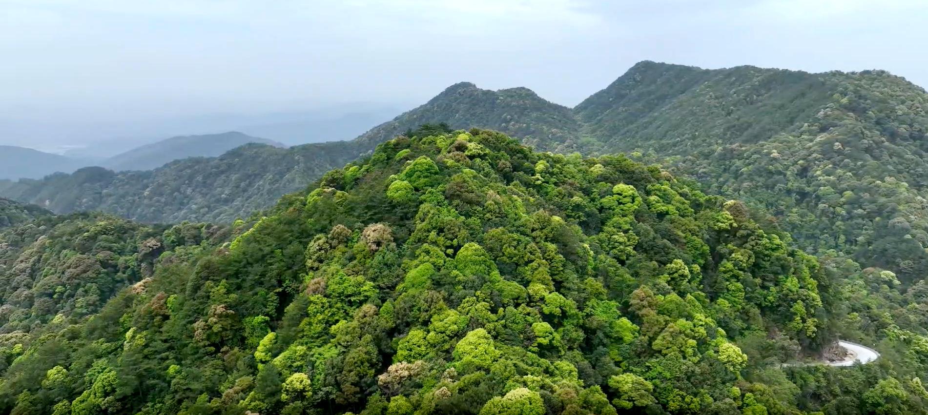 福建君子峰國家級自然保護區(qū)境內(nèi)航拍一隅