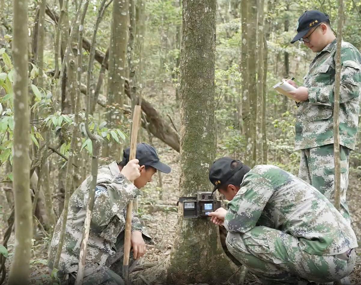 保護區(qū)工作人員在查看紅外相機，并記錄相關(guān)數(shù)據(jù)