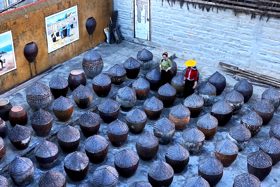 露天曬場上整齊排列著近百個發(fā)酵缸用于曬制魚露。公金輝攝