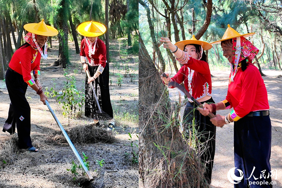 如今，陳麗英還在日日守護著惠女林場。人民網(wǎng) 楊灝昱攝