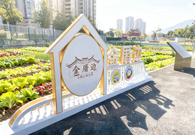 薌城區(qū)芝山街道的前山社區(qū)“共享菜園”