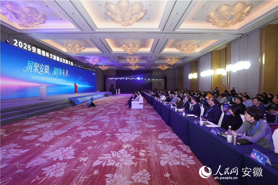2025安徽視聽文旅融合發(fā)展大會現(xiàn)場。人民網(wǎng)記者 陳若天攝