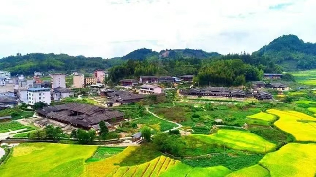 蓋洋村生態(tài)公園