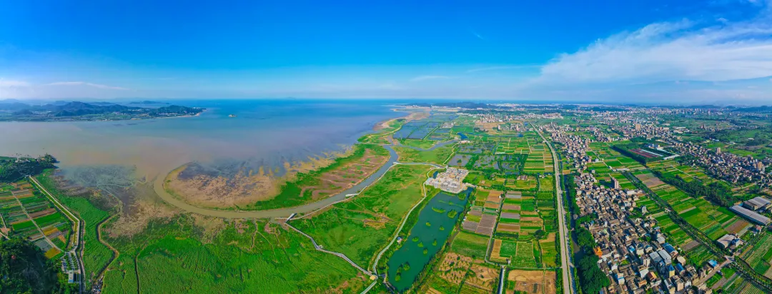 2023年，閩江河口濕地入選國(guó)際重要濕地名錄，成為展示中國(guó)生物多樣性保護(hù)的重要窗口。林雙偉攝