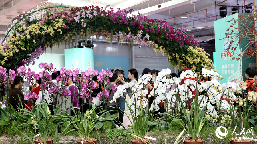 展會(huì)現(xiàn)場(chǎng)花團(tuán)錦簇。人民網(wǎng)記者 李昌乾攝