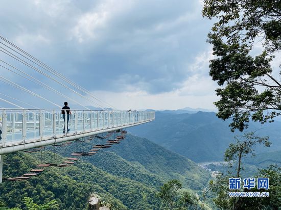 �����»���ǧ��ɶ����Lò