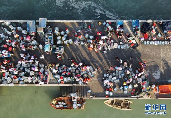 �_�O�w��O��æ