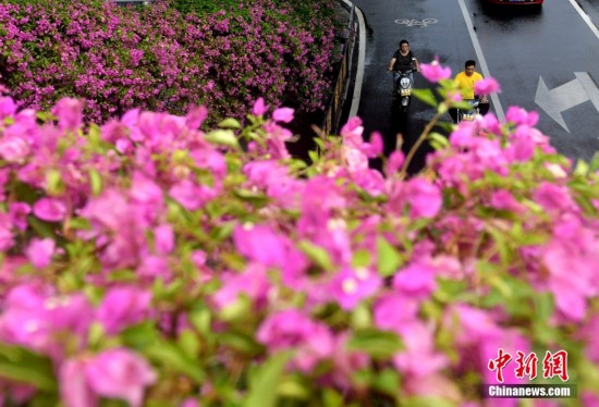 ��������÷ʢ�_ ��������