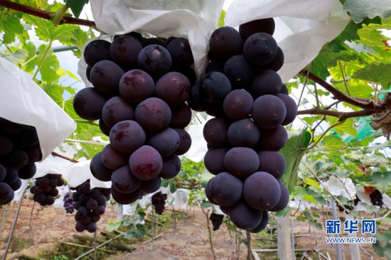 ����혲�������ġ������������