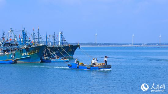 在澳角村，漁船載著從海上捕獲的海鮮準備靠岸。人民網(wǎng) 李昌乾攝